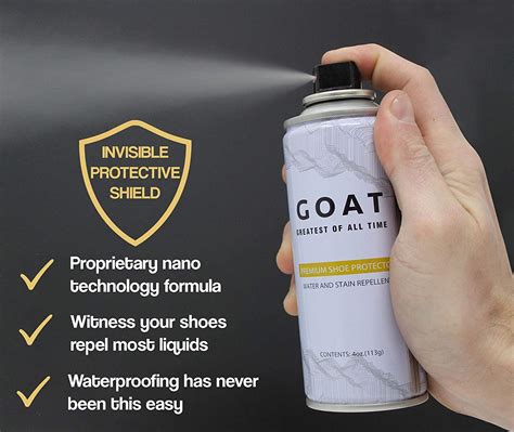 best shoe water and stain protector